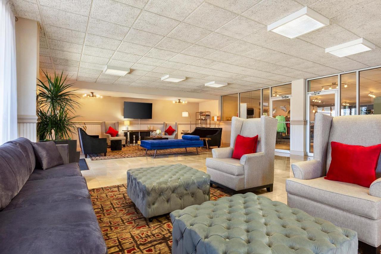 Marina Vibes - Sarasota Hotel Eksteriør billede