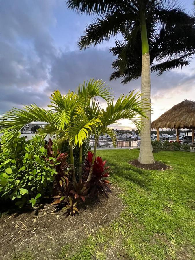 Marina Vibes - Sarasota Hotel Eksteriør billede