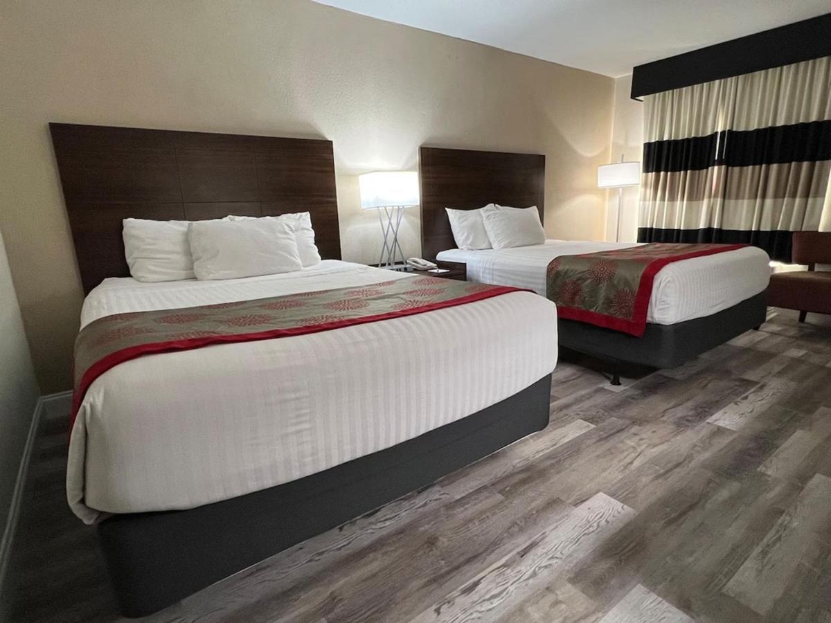 Marina Vibes - Sarasota Hotel Eksteriør billede